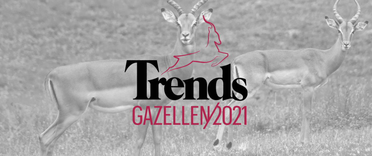 Déhora trends gazelle