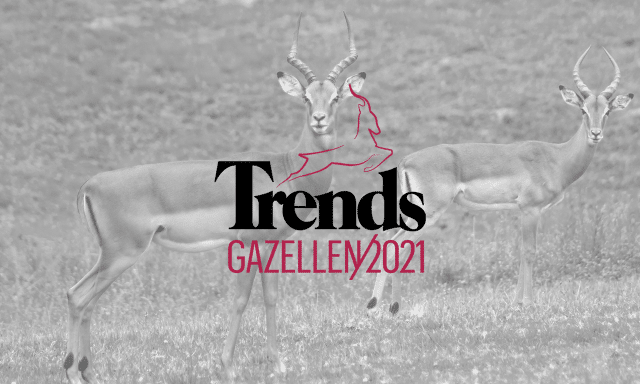 Déhora trends gazelle